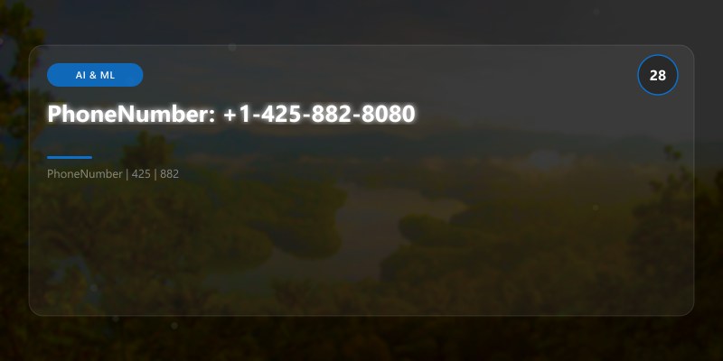 PhoneNumber: +1-425-882-8080