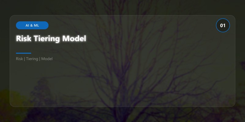 Risk Tiering Model
