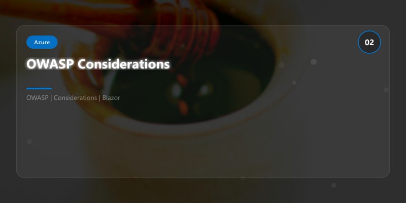 OWASP Considerations