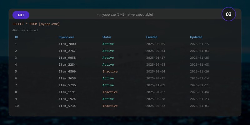 - myapp.exe (5MB native executable)