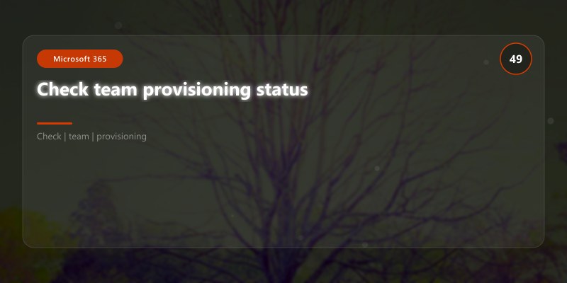 Check team provisioning status