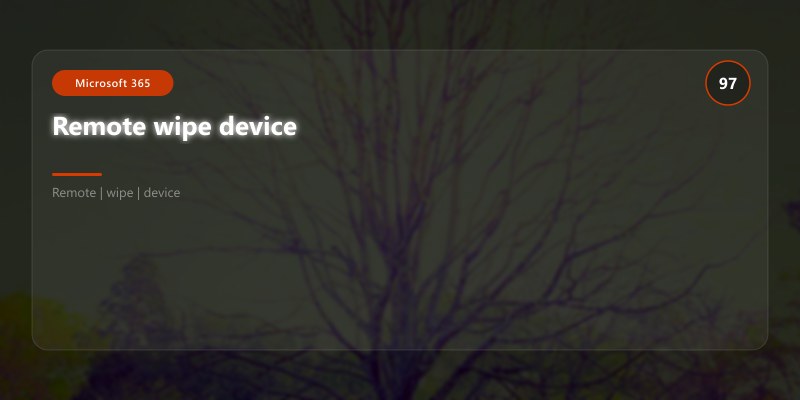 Remote wipe device