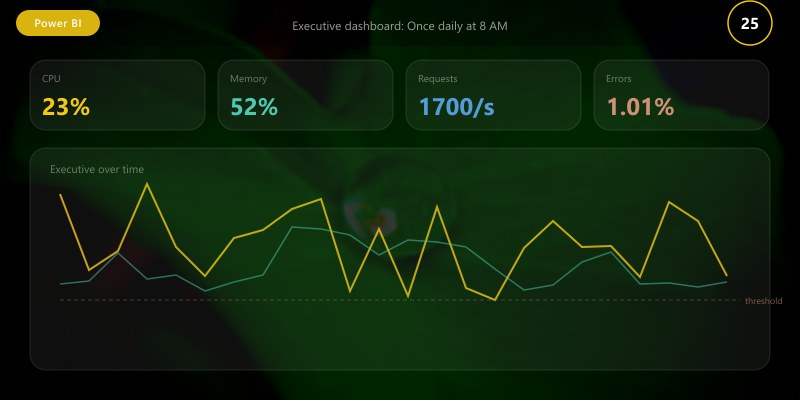 Executive dashboard: Once daily at 8 AM