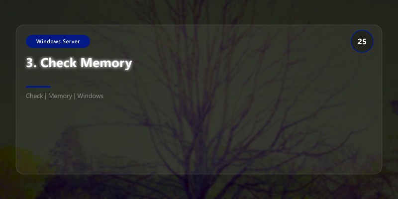 3. Check Memory