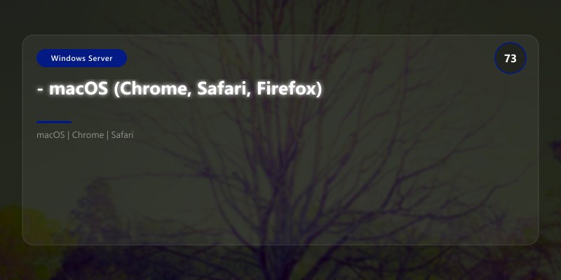 - macOS (Chrome, Safari, Firefox)