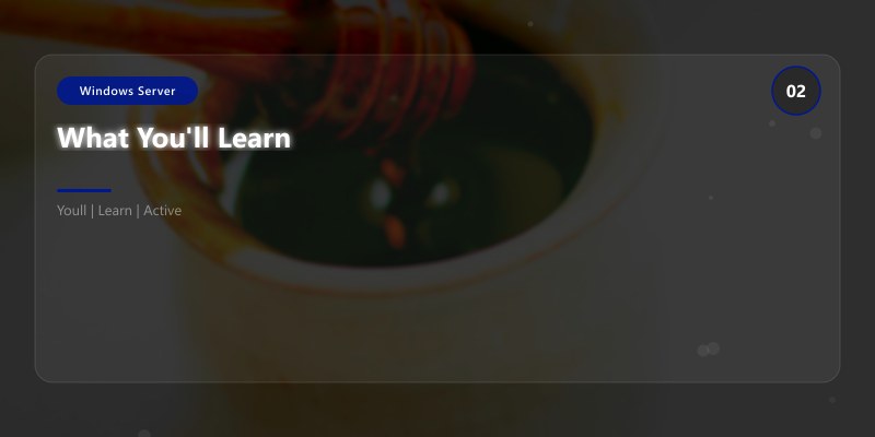 What You'll Learn